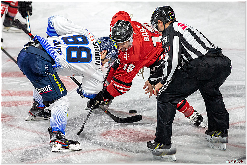 DEL; Koelner Haie - ERC Ingolstadt; Koeln, 03.11.2019
